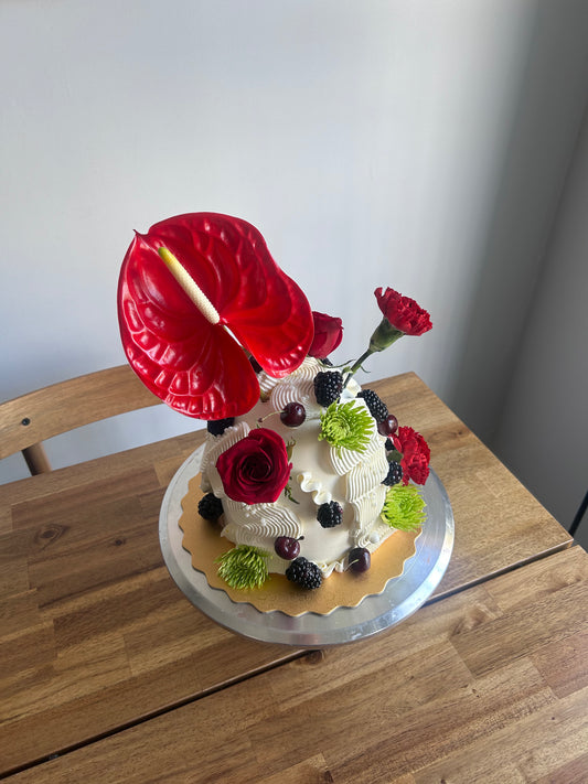 Whimsy Dome BYPATRI