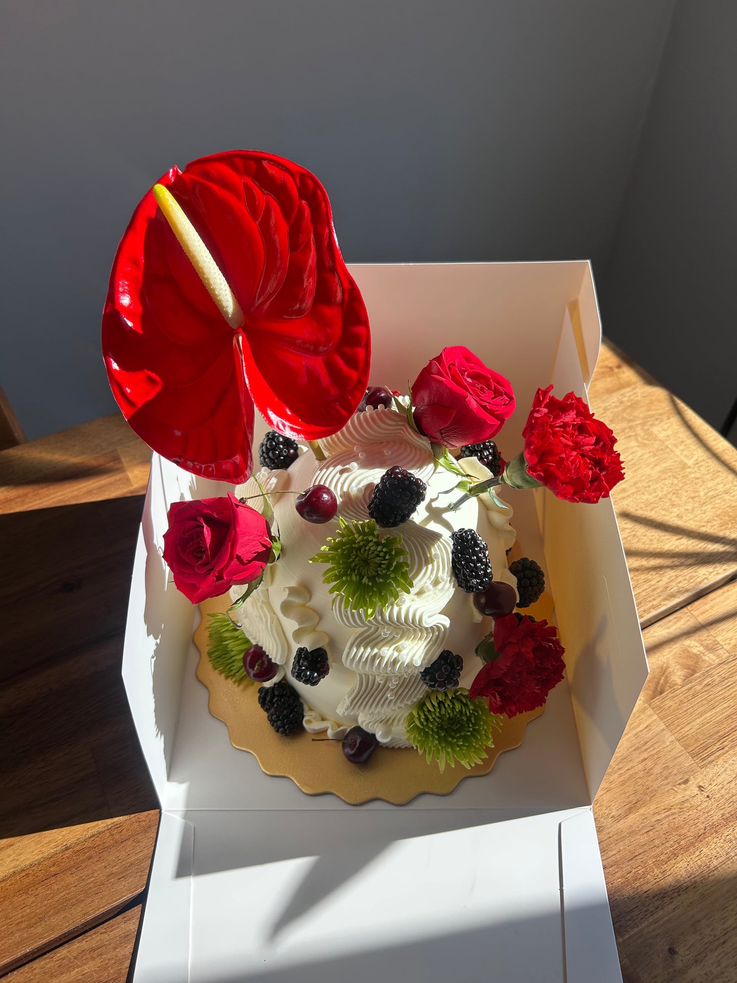 Whimsy Dome BYPATRI
